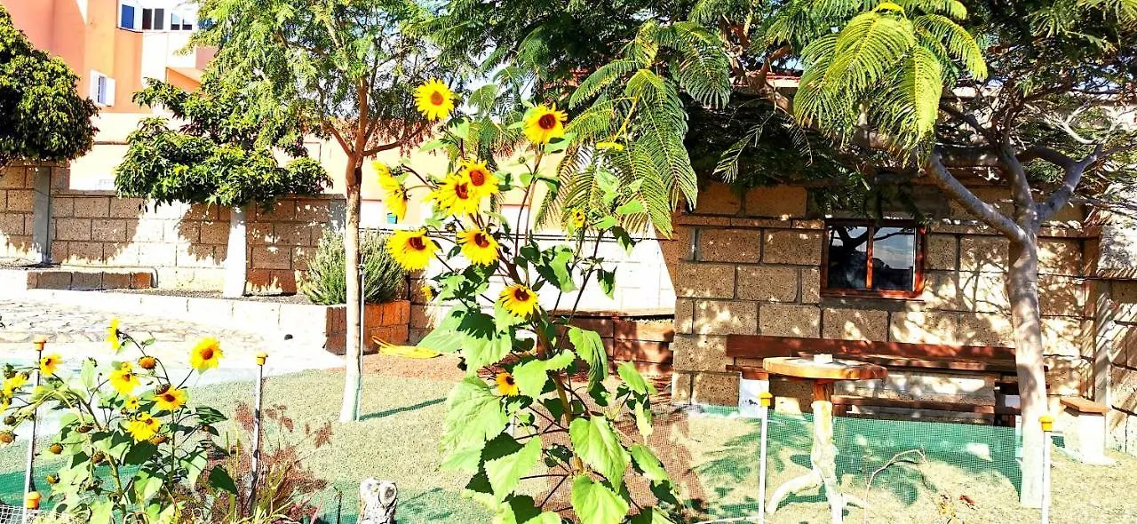 Casa Del Sur, En El Sur De Tenerife Βίλα Granadilla De Abona